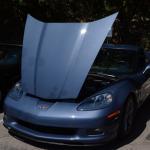 StElizabeth_0013 (September 09, 2016)